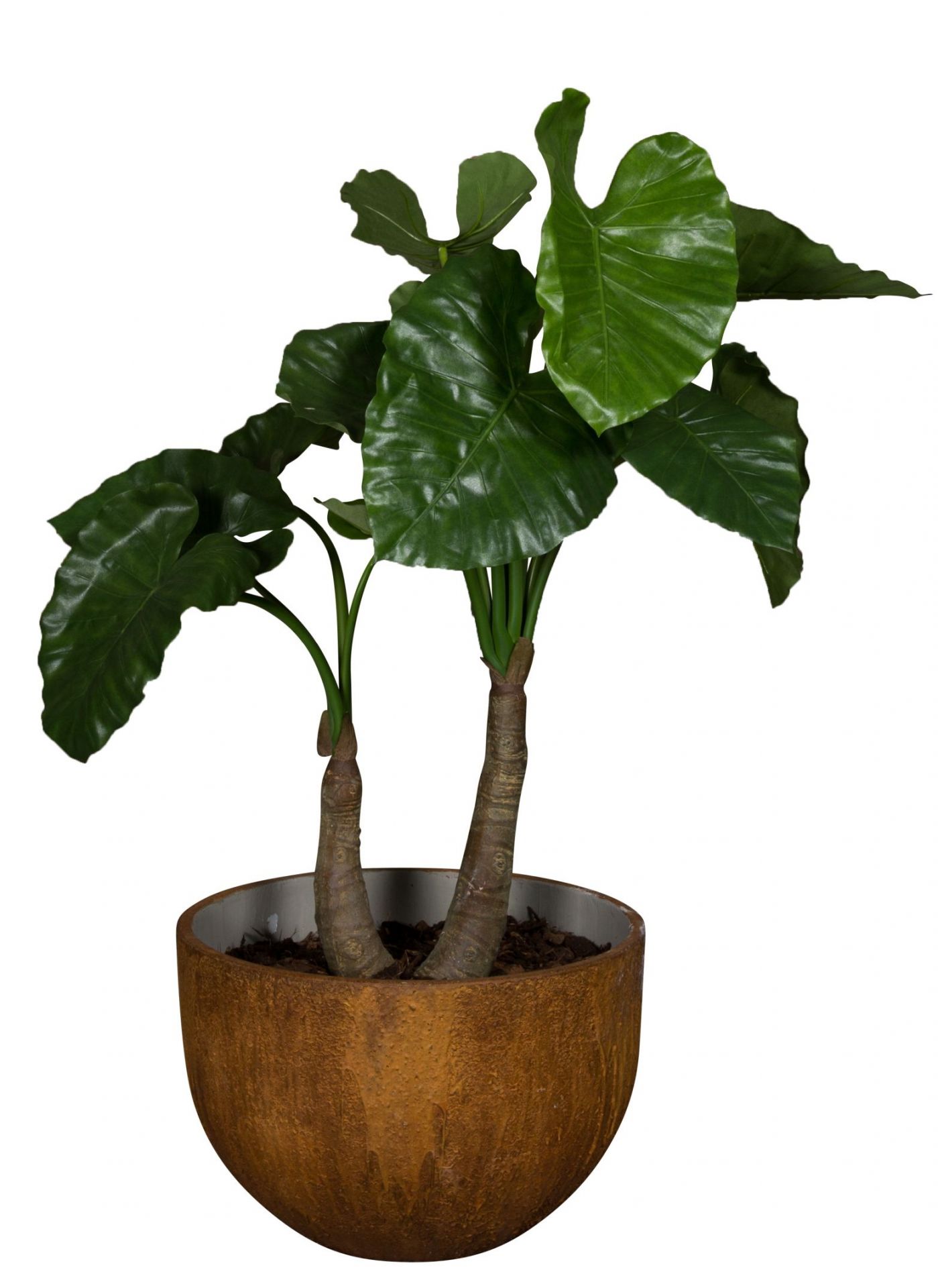 Medewi Alocasia 120 (Akasien) Artificial Plant Tanaman    